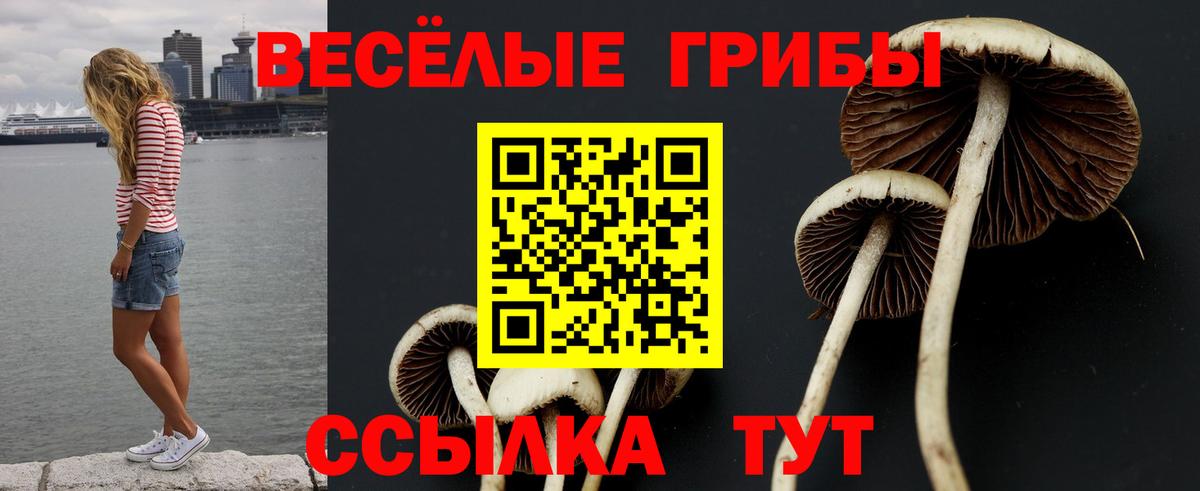 Галлюциногенные грибы MAGIC MUSHROOMS Коряжма